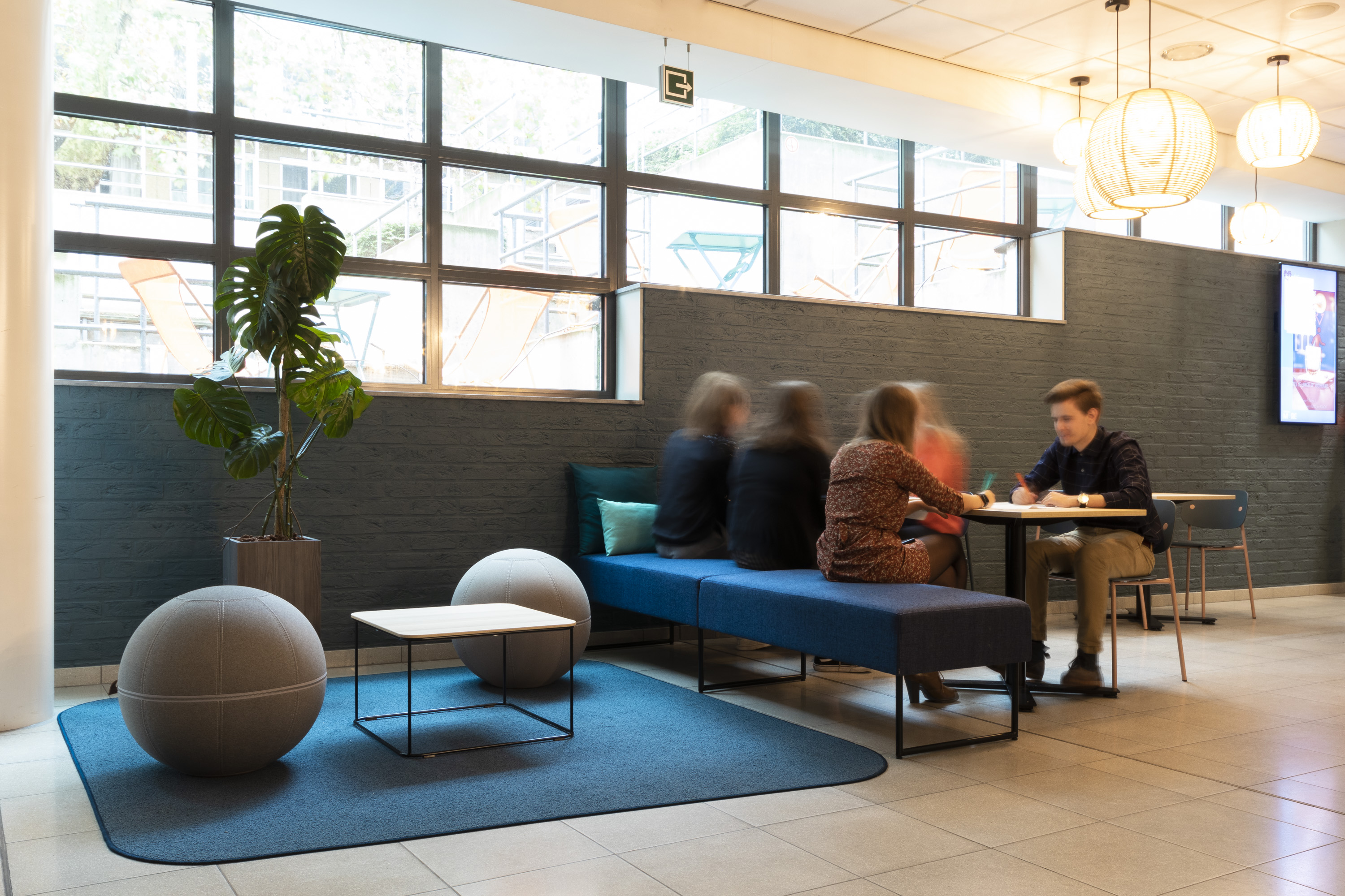 ZH - Office Ballz - Fields - Nestor - Thomas More Kempen.jpg