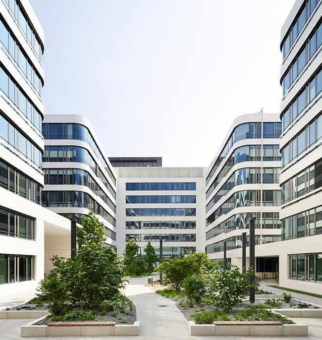 image-caption1.1.jpg